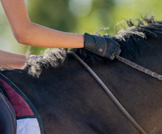 Do You Need Gloves for Horse Riding?