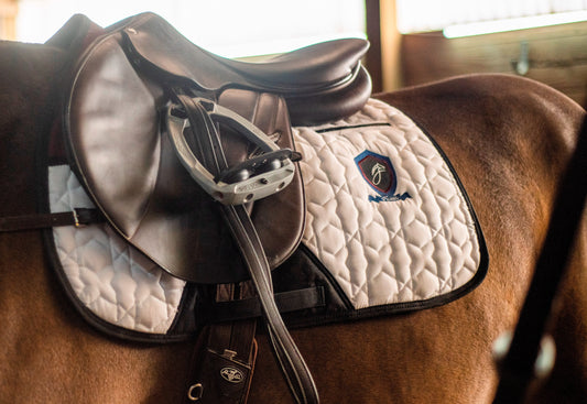 The English Saddle Pad Buying Guide